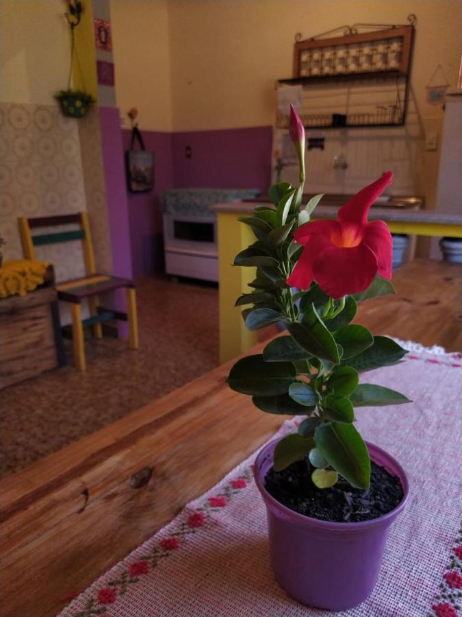 Hostel Tiradentes Eksteriør bilde